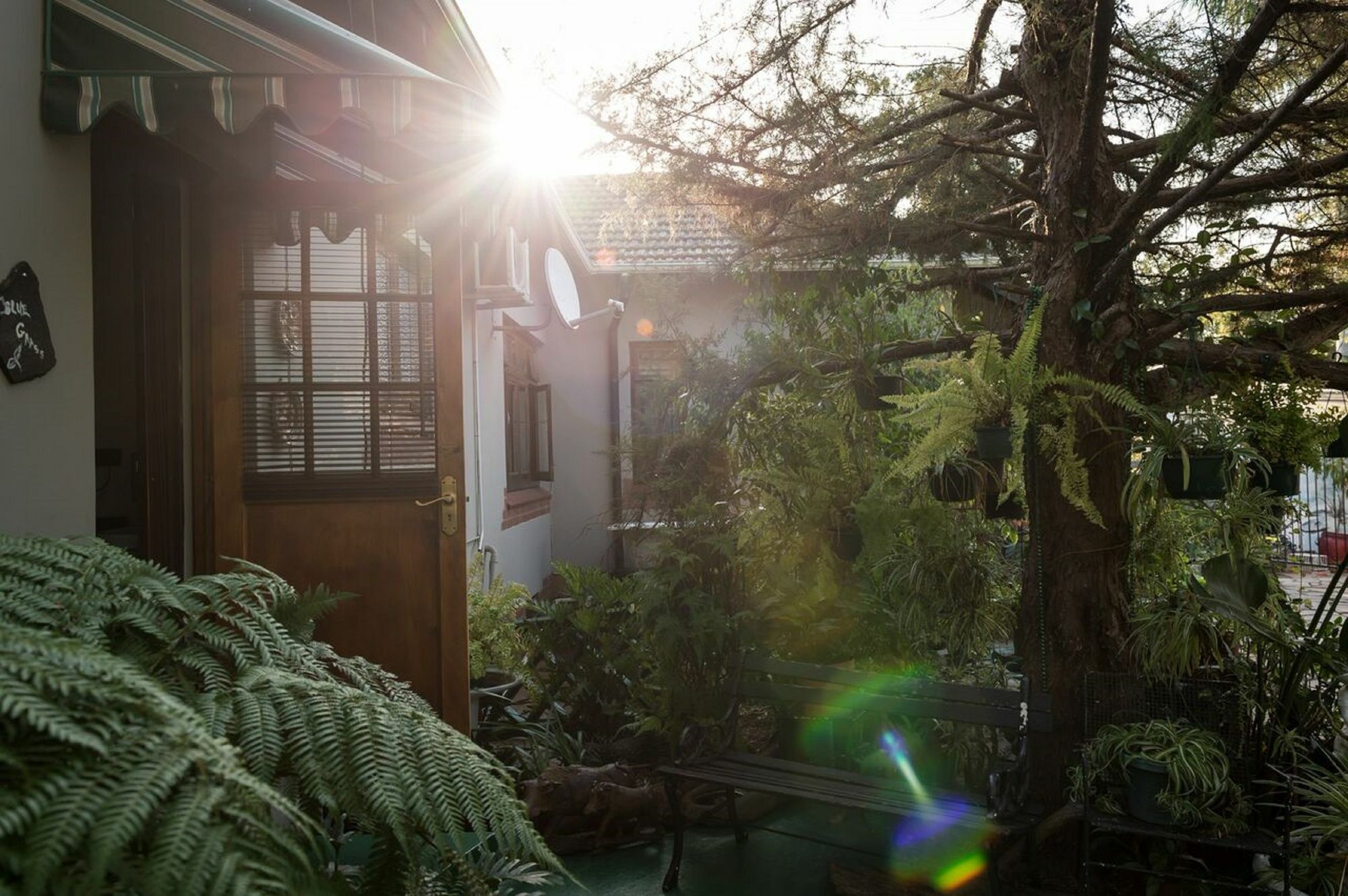 Jean-Lee Bed And Breakfast Pietermaritzburg Eksteriør billede